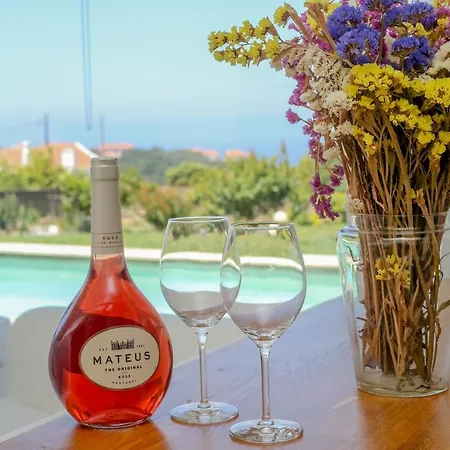 Like-home-t1 House, Pool, Ac, Garden * Ericeira